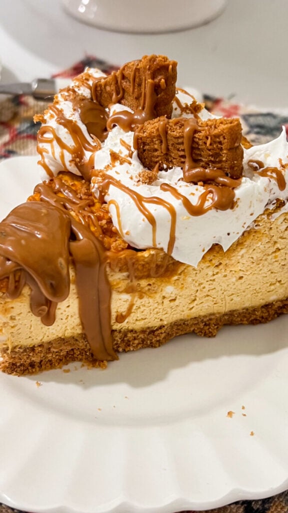 IMG_9057-576x1024 Pumpkin Biscoff Cheesecake