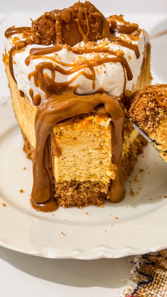 IMG_9065-576x1024 Pumpkin Biscoff Cheesecake