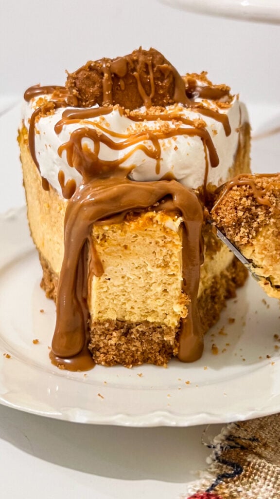 IMG_9067-1-576x1024 Pumpkin Biscoff Cheesecake