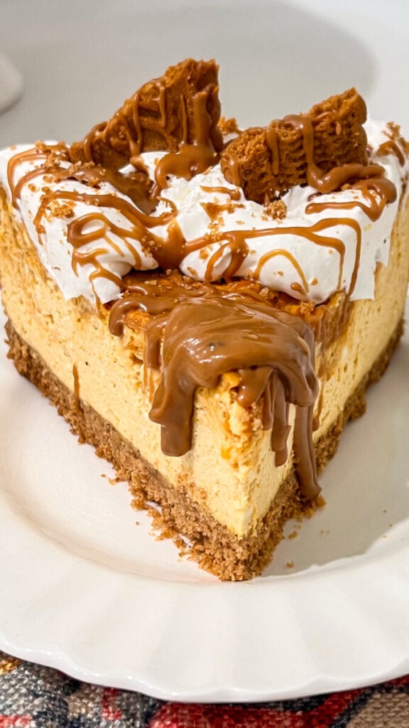 IMG_9069-576x1024 Pumpkin Biscoff Cheesecake