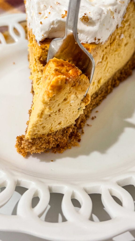 IMG_9100-576x1024 Pumpkin Spice Cheesecake