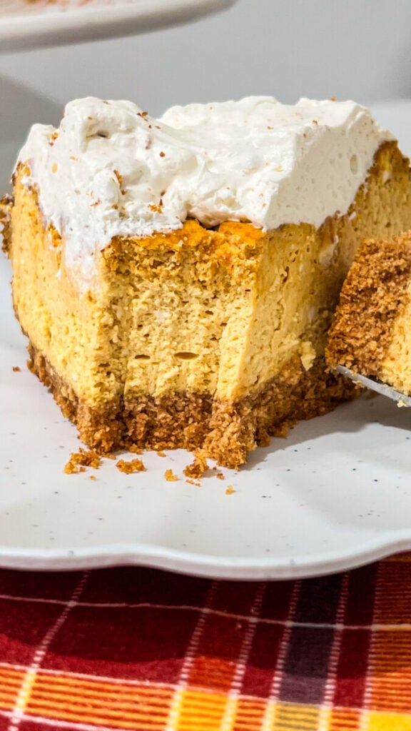 IMG_9128-576x1024 Olive Garden Pumpkin Cheesecake Copycat Recipe