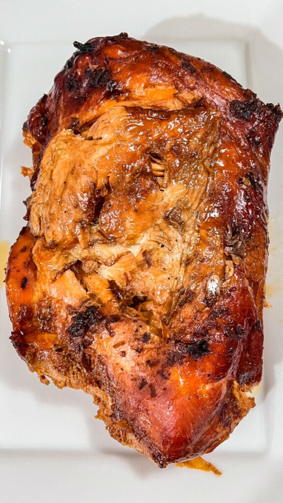  IMG_9244-576x1024 Slow Cooker French Onion Turkey Breast  
