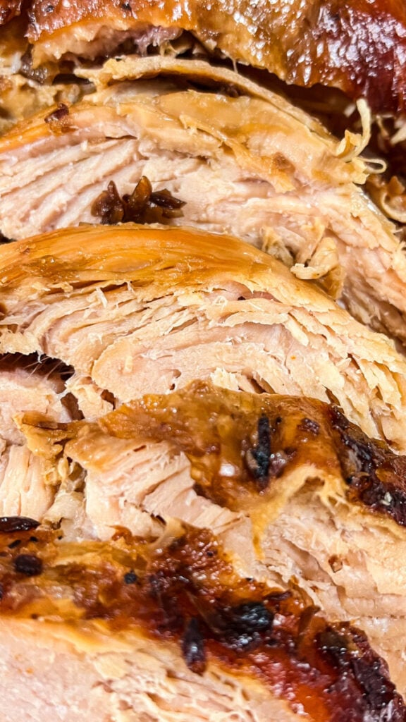  IMG_9259-576x1024 Slow Cooker French Onion Turkey Breast  
