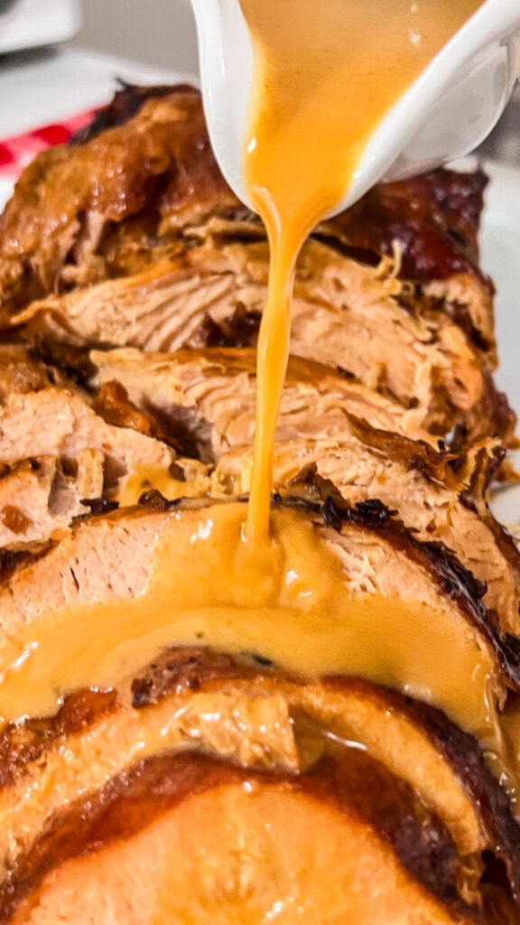  IMG_9287-576x1024 French Onion Turkey Gravy  