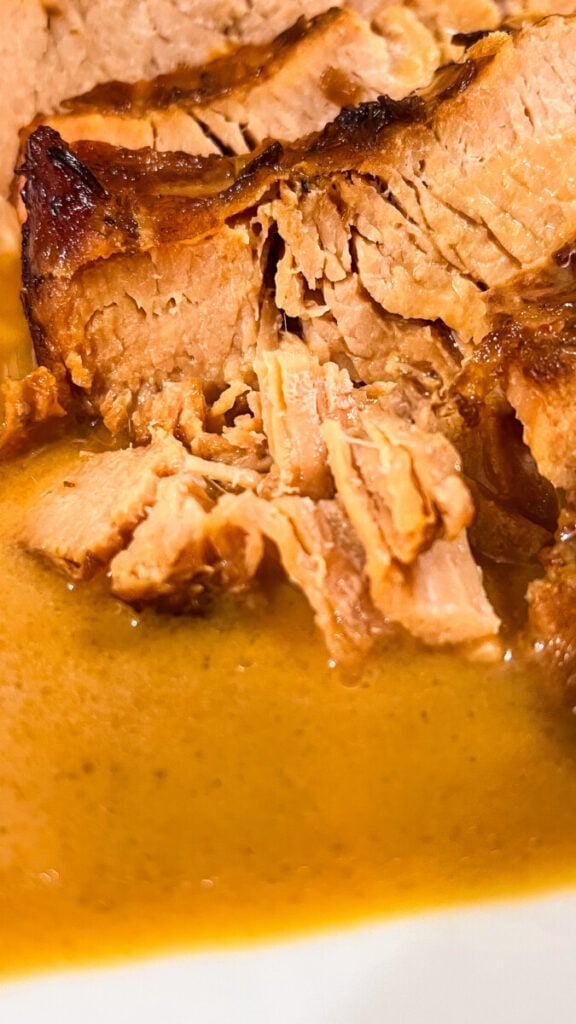  IMG_9306-576x1024 French Onion Turkey Gravy  