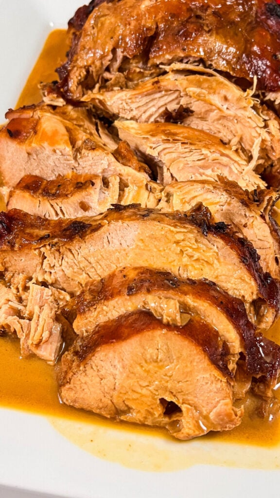  IMG_9310-576x1024 French Onion Turkey Gravy  