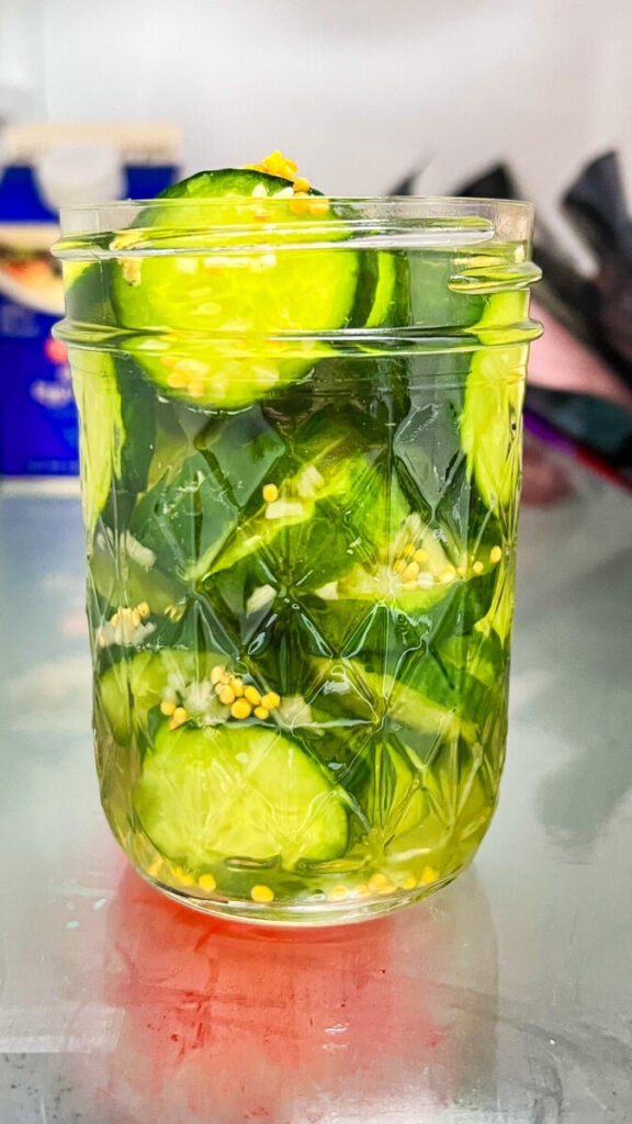 IMG_9653-576x1024 Homemade Sweet Refrigerator Pickles