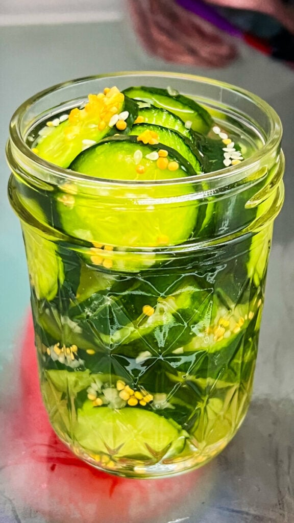 IMG_9658-576x1024 Homemade Sweet Refrigerator Pickles