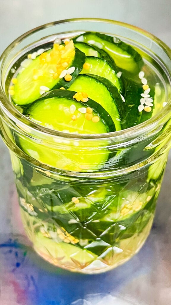 IMG_9659-576x1024 Homemade Sweet Refrigerator Pickles