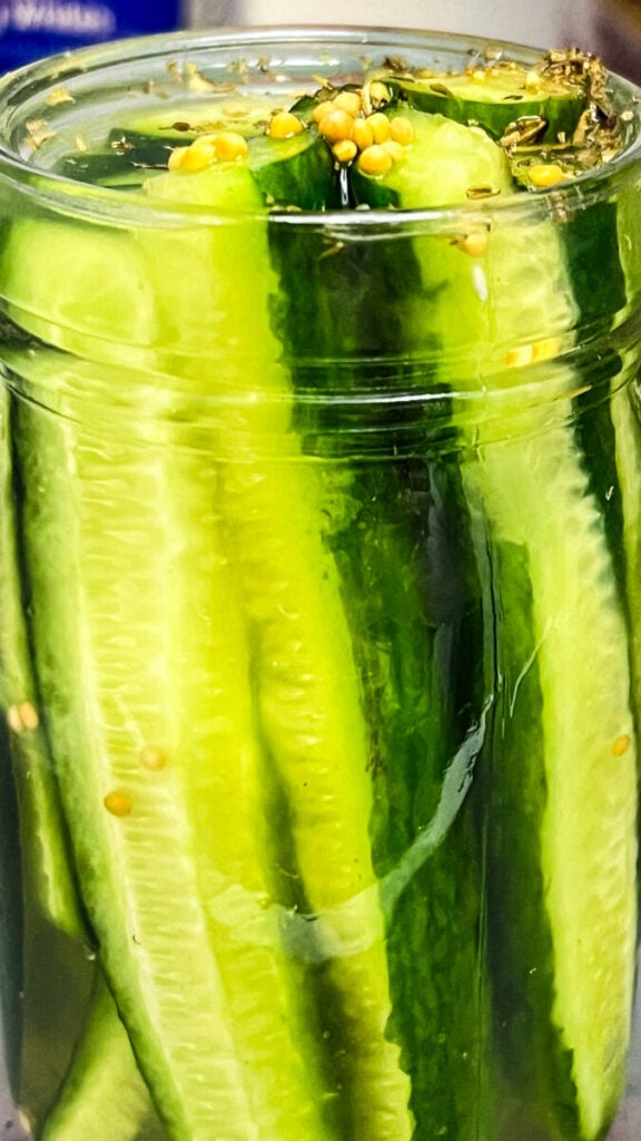 IMG_9662-576x1024 Easy Refrigerator Dill Pickles