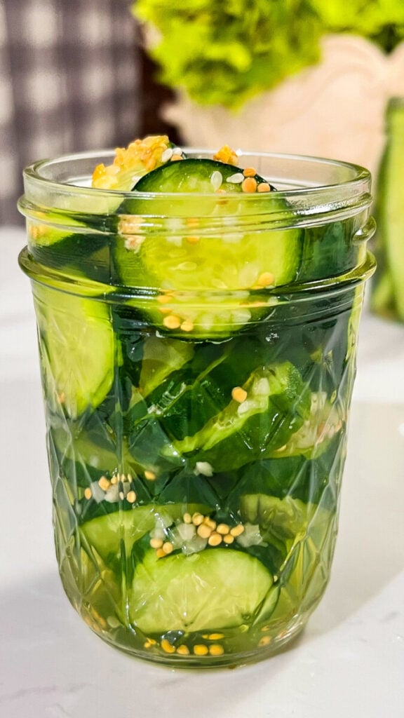 IMG_9676-576x1024 Homemade Sweet Refrigerator Pickles
