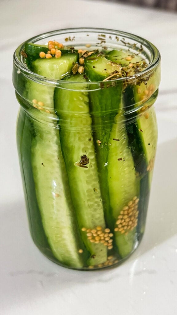 IMG_9686-576x1024 Easy Refrigerator Dill Pickles