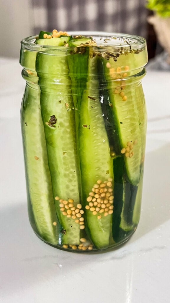 IMG_9687-576x1024 Easy Refrigerator Dill Pickles