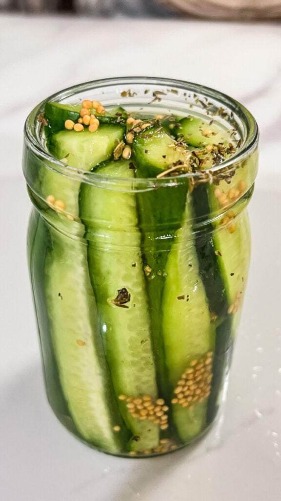 IMG_9692-576x1024 Easy Refrigerator Dill Pickles