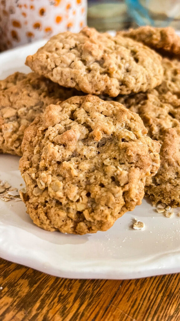 IMG_3655-576x1024 Homemade Oatmeal Cookies