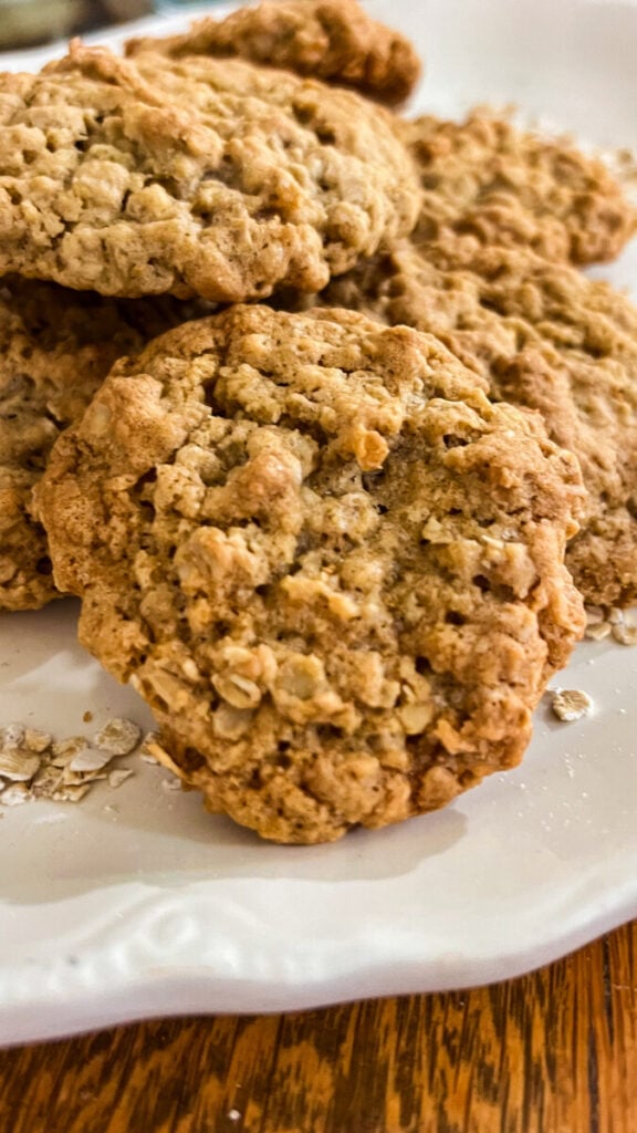 IMG_3657-576x1024 Homemade Oatmeal Cookies