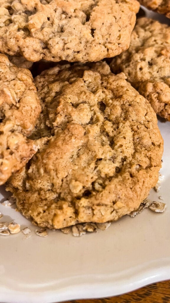 IMG_3669-576x1024 Homemade Oatmeal Cookies