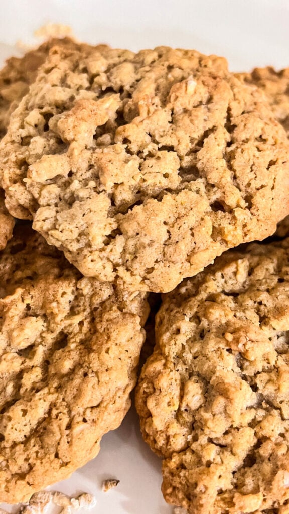 IMG_3673-576x1024 Homemade Oatmeal Cookies