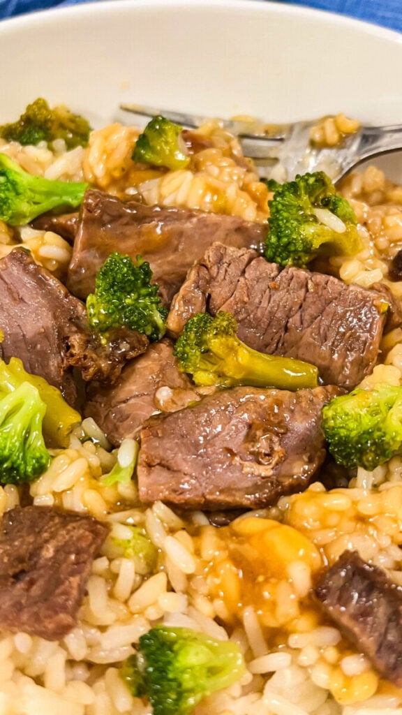  IMG_4291-576x1024 Honey Teriyaki Beef and Broccoli Bowls  