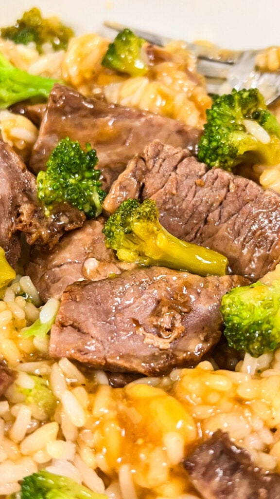  IMG_4292-576x1024 Honey Teriyaki Beef and Broccoli Bowls  