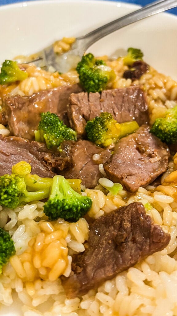  IMG_4304-576x1024 Honey Teriyaki Beef and Broccoli Bowls  