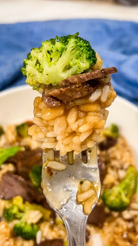  IMG_4310-576x1024 Honey Teriyaki Beef and Broccoli Bowls  
