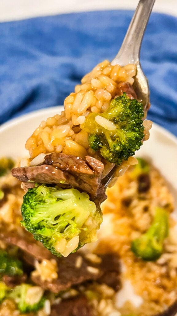  IMG_4313-576x1024 Honey Teriyaki Beef and Broccoli Bowls  
