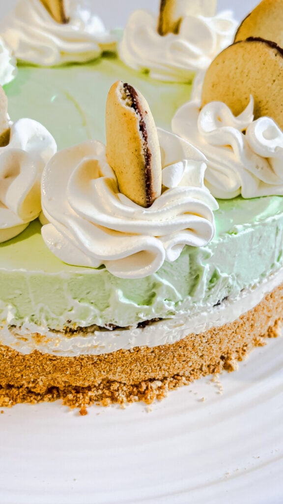 IMG_4678-576x1024 No Bake Mint Milano Cheesecake