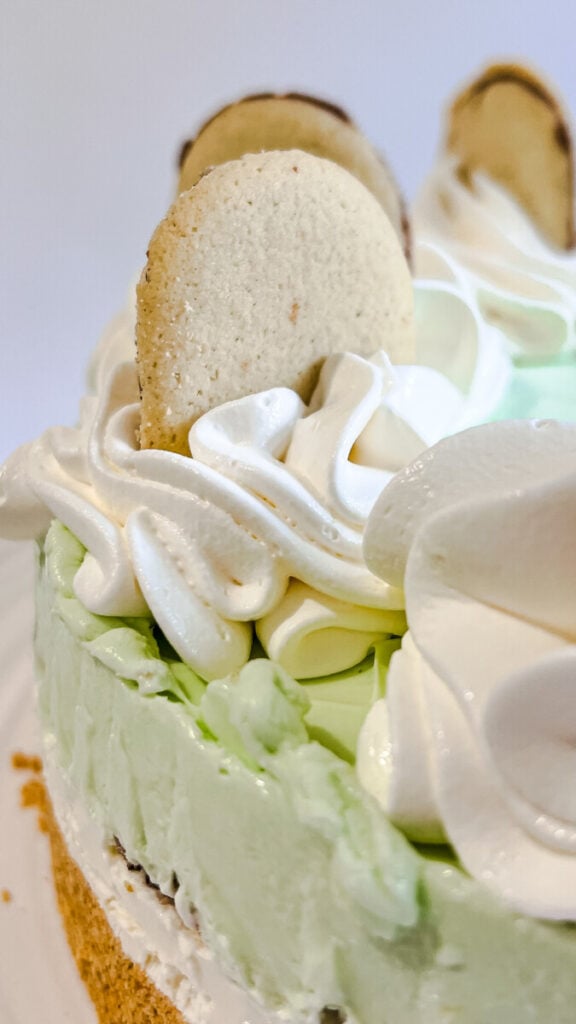 IMG_4683-576x1024 No Bake Mint Milano Cheesecake