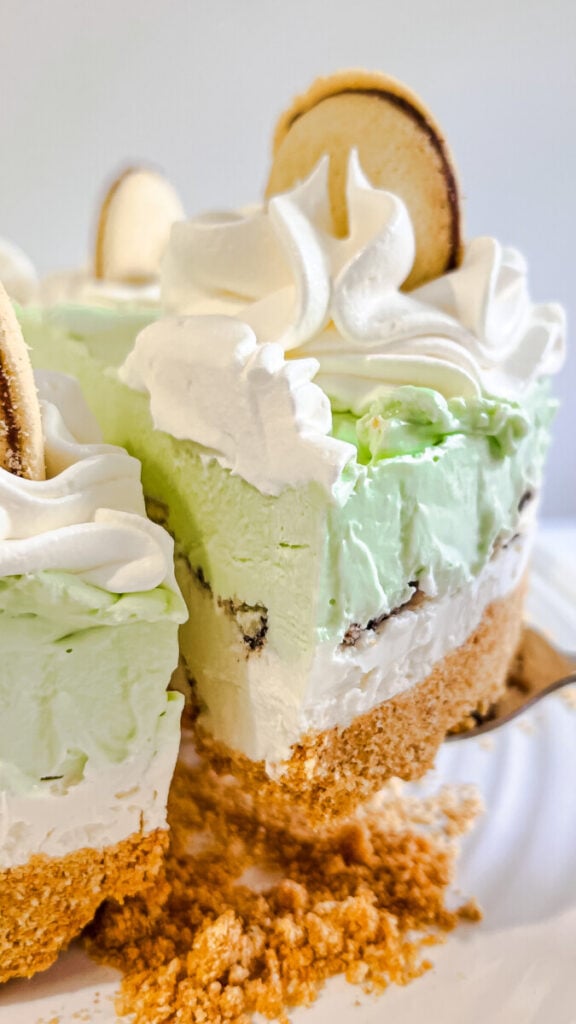 IMG_4694-576x1024 No Bake Mint Milano Cheesecake