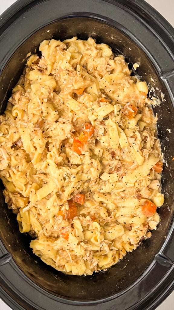 IMG_5472-576x1024 Crockpot Chicken and Noodles Casserole