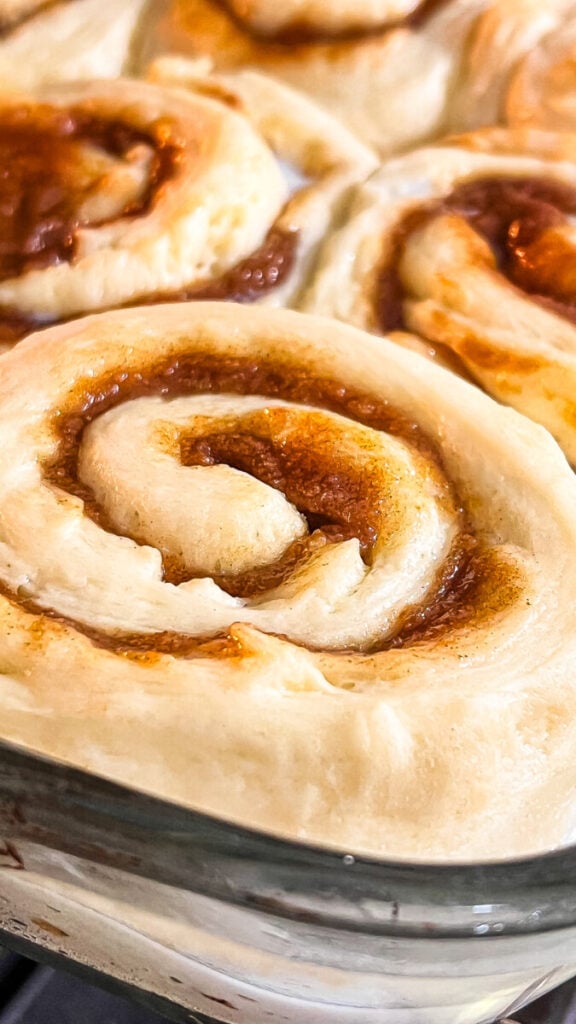  IMG_5696-576x1024 Soft & Fluffy Cinnamon Rolls (With Tangzhong)  