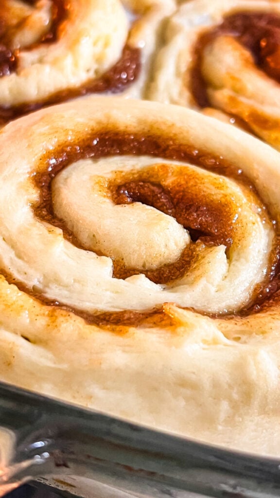  IMG_5700-576x1024 Soft & Fluffy Cinnamon Rolls (With Tangzhong)  