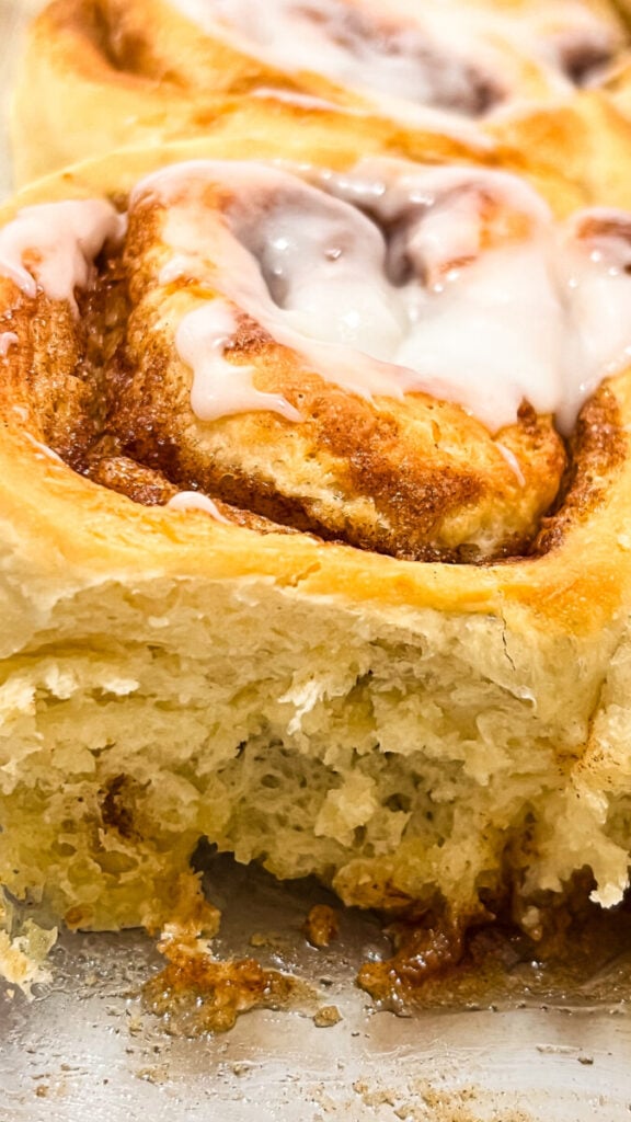  IMG_5733-576x1024 Soft & Fluffy Cinnamon Rolls (With Tangzhong)  