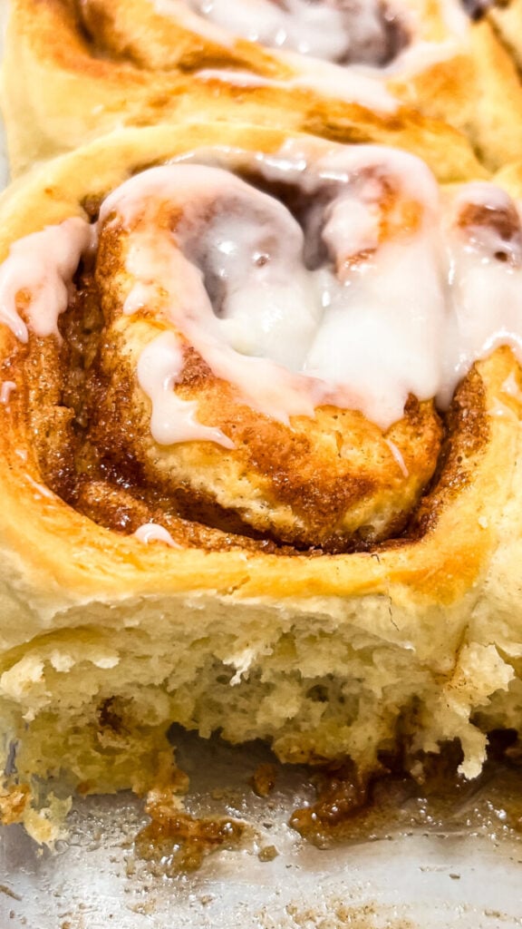  IMG_5734-576x1024 Soft & Fluffy Cinnamon Rolls (With Tangzhong)  