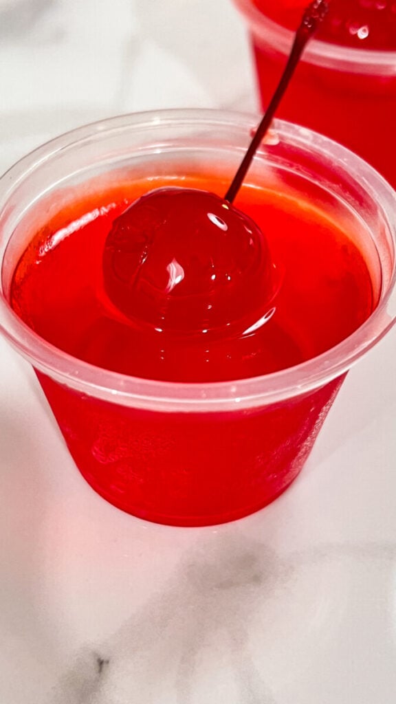 IMG_5831-576x1024 Fruit Punch Jell-O Shots