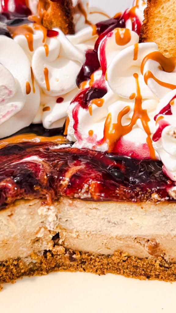 IMG_6352-576x1024 Peanut Butter and Jelly Cheesecake