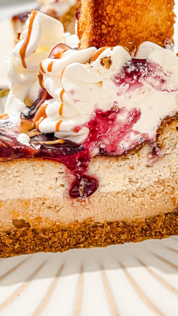 IMG_6369-576x1024 Peanut Butter and Jelly Cheesecake
