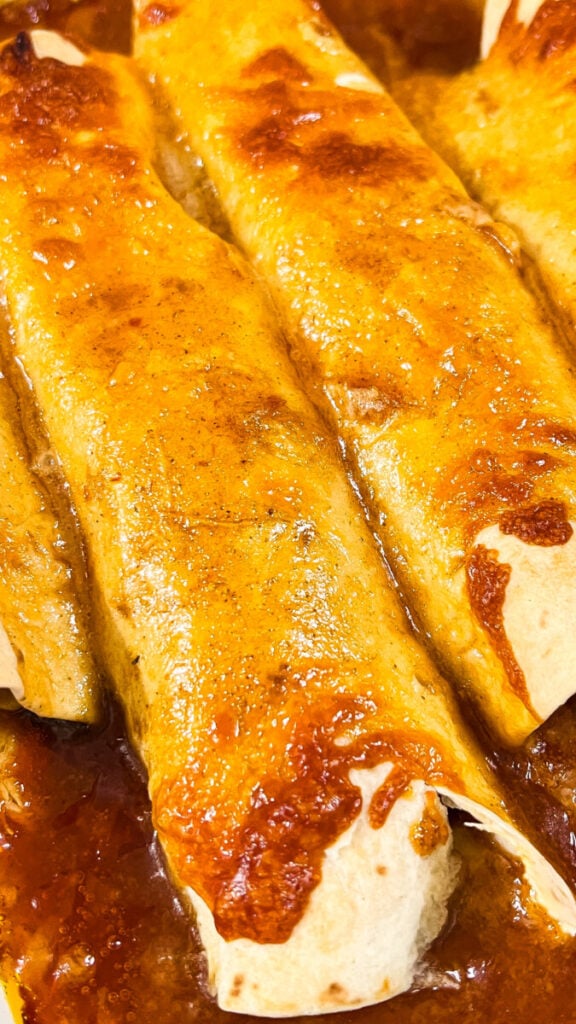  IMG_7137-576x1024 Oven Baked Cheesy Chicken Enchiladas  