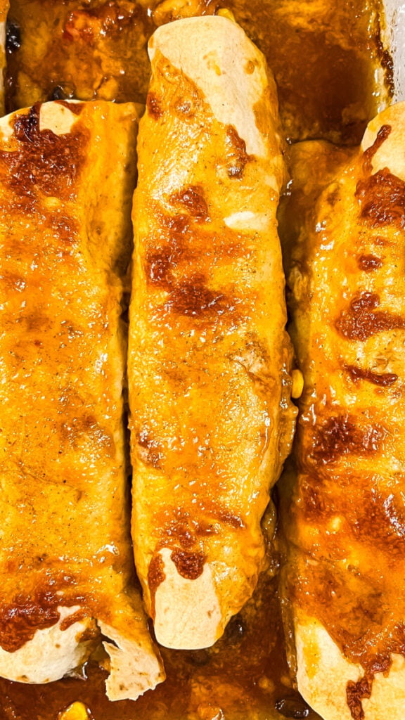 IMG_7145-576x1024 Oven Baked Cheesy Chicken Enchiladas  