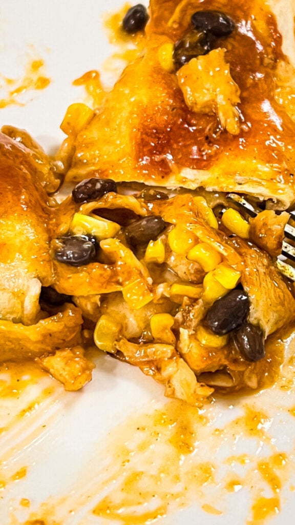  IMG_7154-576x1024 Oven Baked Cheesy Chicken Enchiladas  