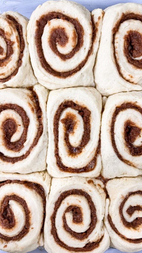 IMG_7631-576x1024 Biscoff Cookie Butter Cinnamon Rolls
