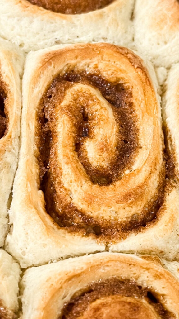 IMG_7646-576x1024 Biscoff Cookie Butter Cinnamon Rolls