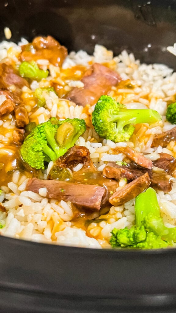  IMG_8350-576x1024 Easy Crockpot Beef and Broccoli  