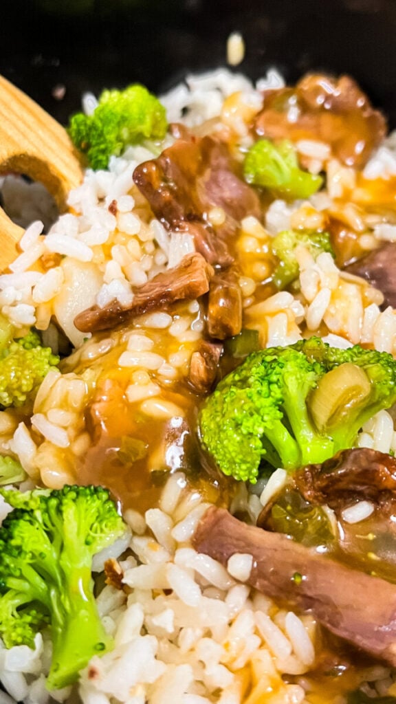  IMG_8351-576x1024 Easy Crockpot Beef and Broccoli  