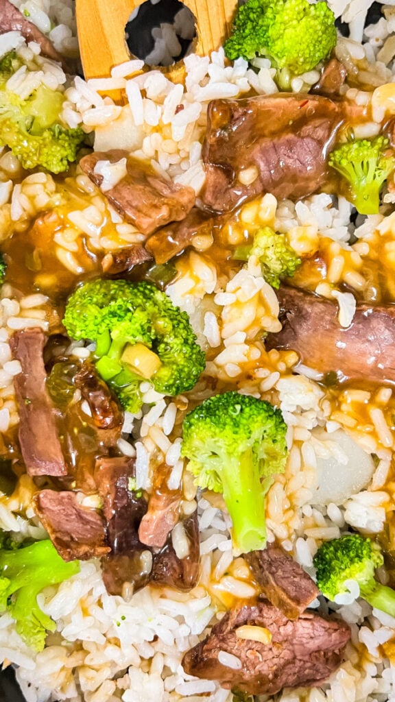  IMG_8353-576x1024 Easy Crockpot Beef and Broccoli  