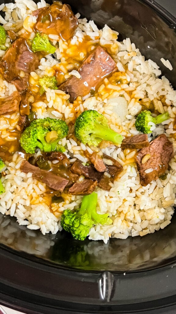  IMG_8357-576x1024 Easy Crockpot Beef and Broccoli  