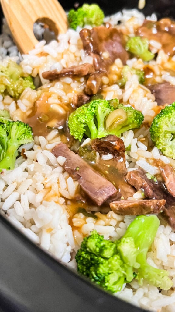  IMG_8366-576x1024 Easy Crockpot Beef and Broccoli  