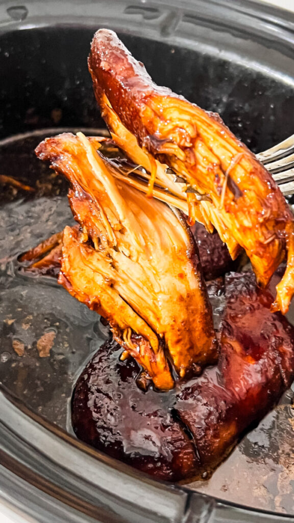 IMG_0099-576x1024 Crockpot Saucy Chicken